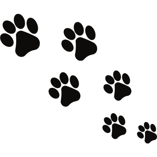 <p><strong>SANS TEST SUR LES ANIMAUX</strong></p>